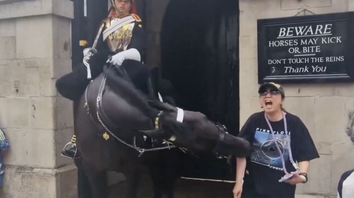 Un cavall de la guàrdia reial britànica mossega una turista