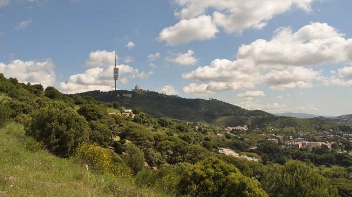 Aquests són els dos indrets de Collserola on es volen construir molins de vent