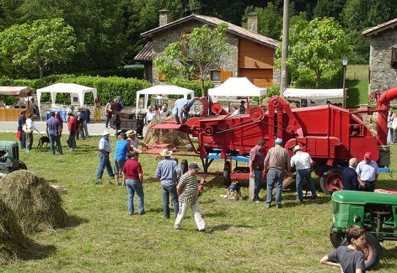 La Firallonga ja s'ha convertit en un clàssic estival.
                                                                             |
                                                                    Sadurní Rovira - |
                                                                    