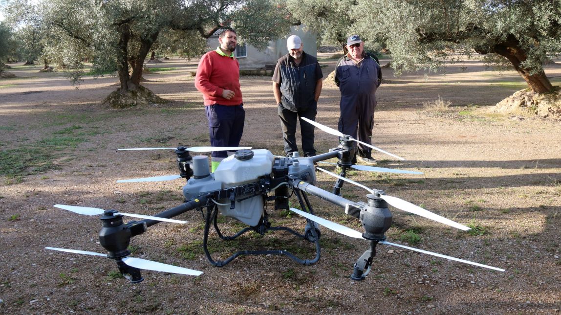 Els drons s'obren pas en els tractaments de camps d'oliveres a les Terres de l'Ebre