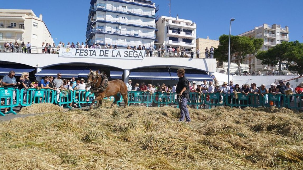 L'Ampolla celebra la Festa de la Sega i les Jornades Gastronòmiques de l'Arròs
