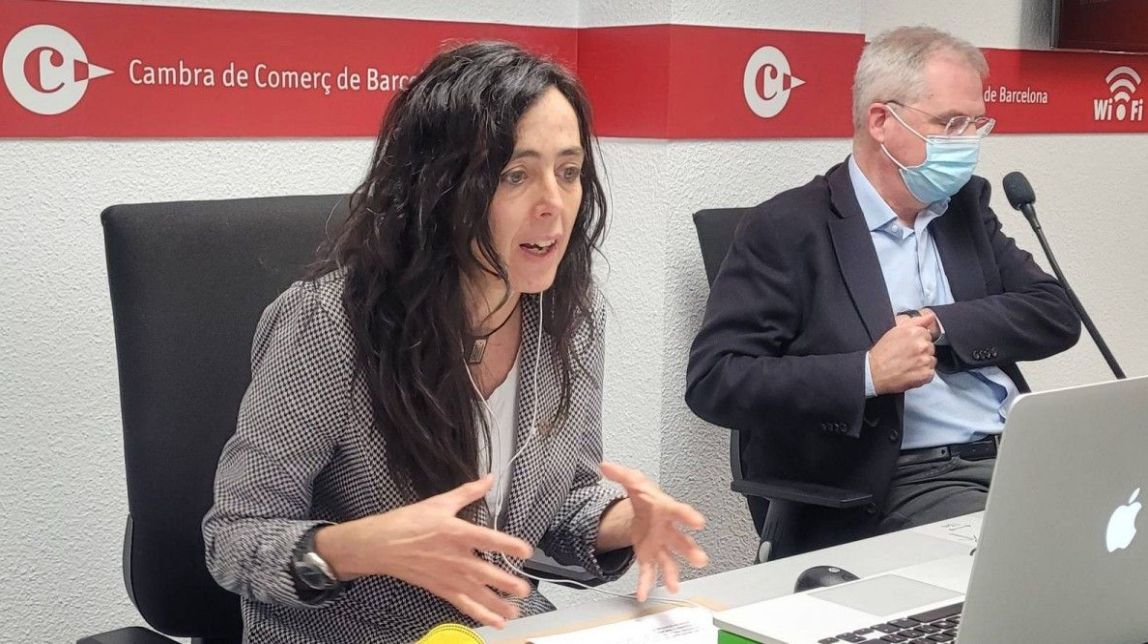 La Cambra demana una inversió de 59.024 milions en renovables fins al 2050