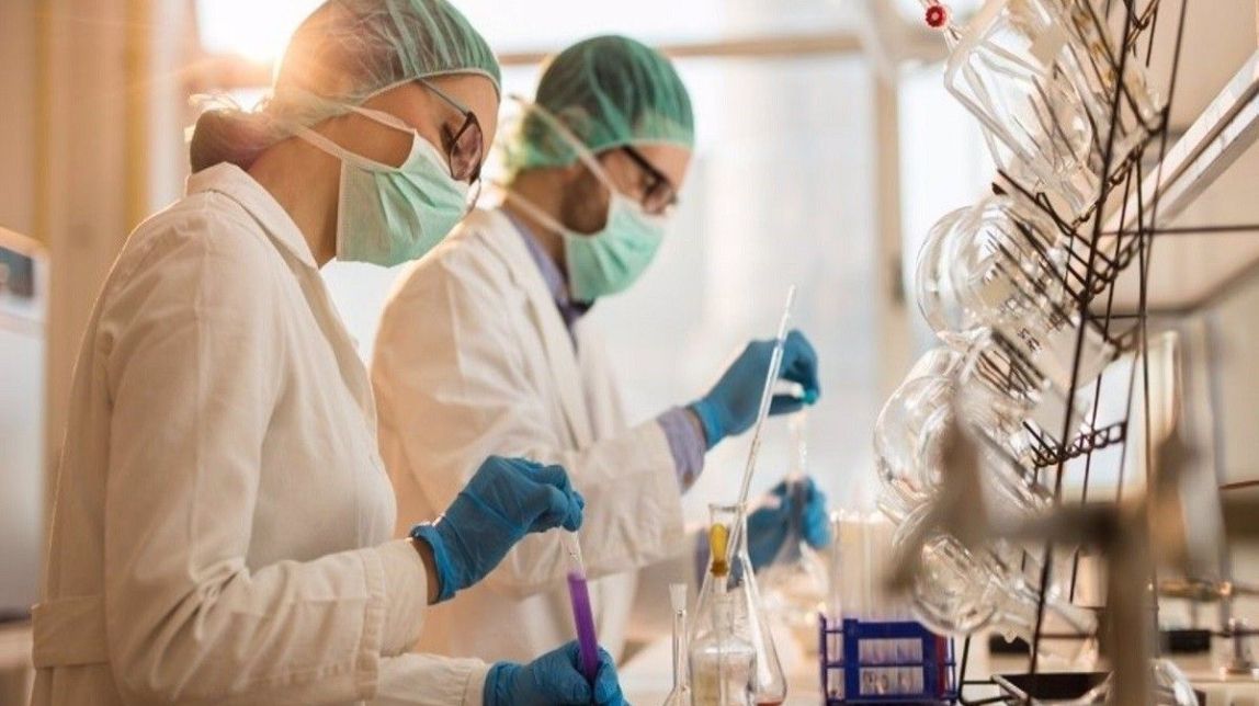 Tot el que ha descobert la ciència el 2021