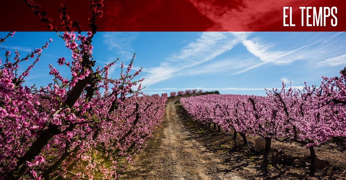 Més núvols cap al final del dia i lleu reculada del mercuri