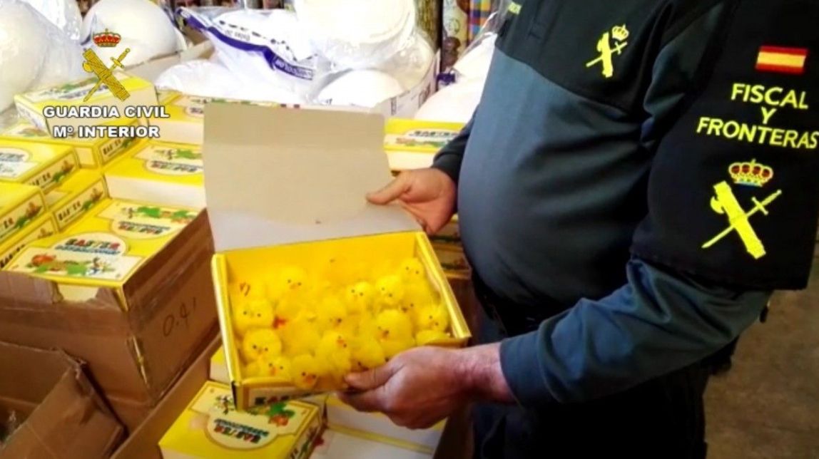 Retiren 15.000 pollets de mones de Pasqua per suposar un risc pels nens