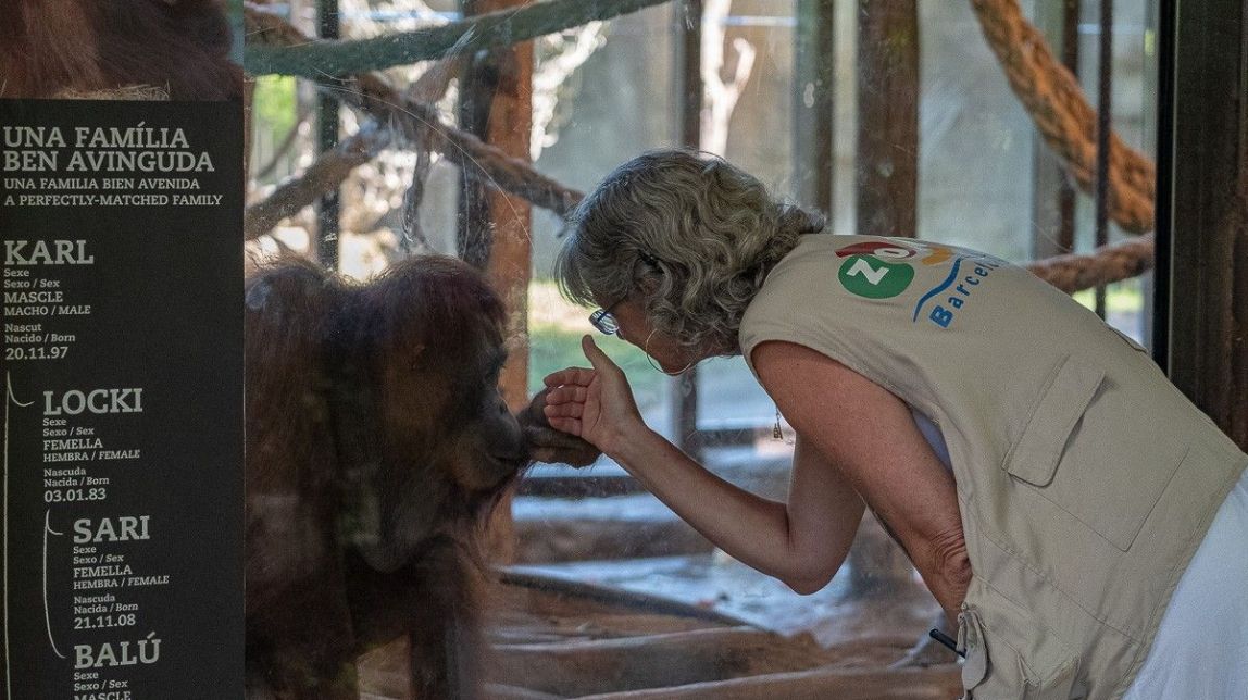 La plataforma animalista Zoo XXI es defensa de les crítiques dels treballadors del zoològic