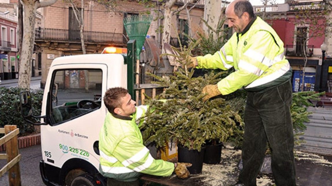 Barcelona instal·la més de 220 punts de recollida d'arbres de Nadal