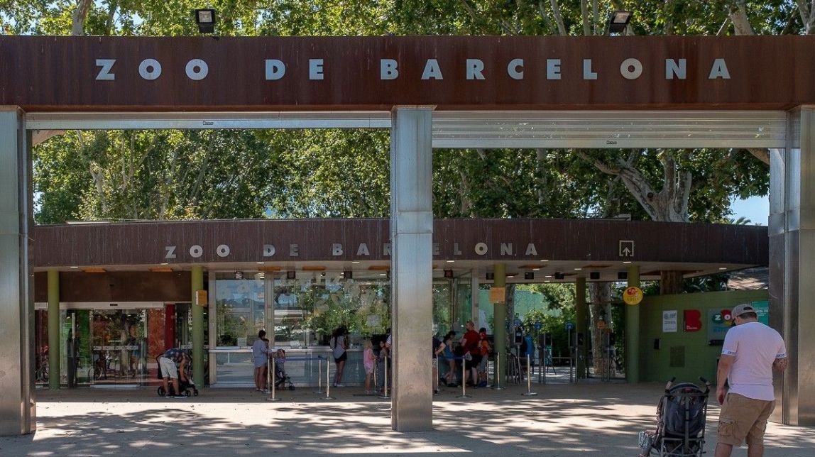 El Zoo de Barcelona, en una situació «insostenible» segons els treballadors