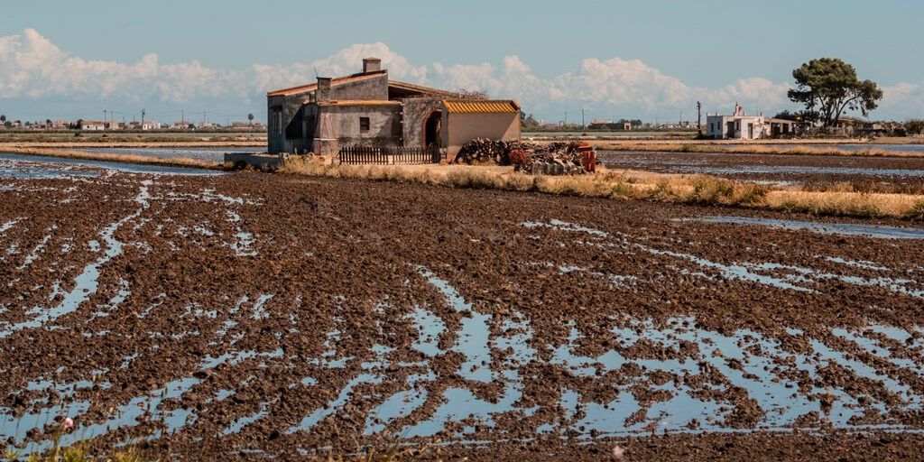 La segona jornada del Centre en Resiliència Climàtica i Eurecat se celebrarà del 24 i 25 d’abril.
                                                                             |
                                Cedida - |
                                Cedida