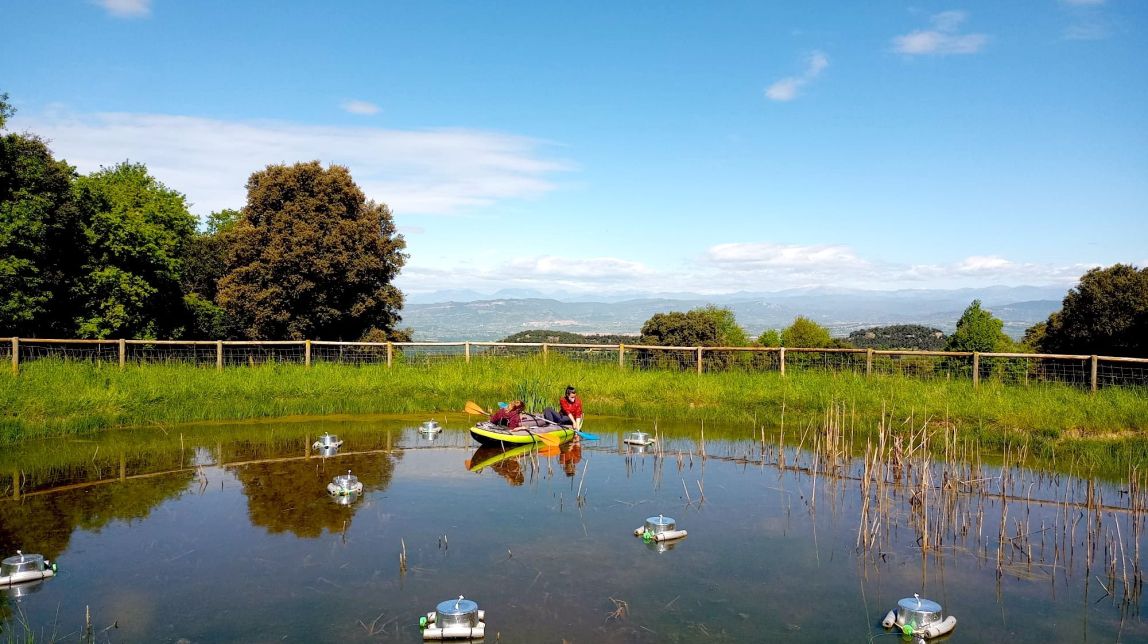 Investigadores del projecte fent estudis en un estany d'Osona
                                                                             |
                                UVic-UCC/UdG - |
                                UVic-UCC/UdG