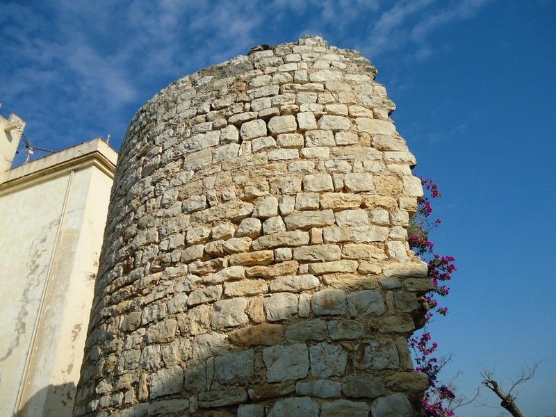 La Torre del Cintoi
                                                                             |
                                CC - |
                                CC