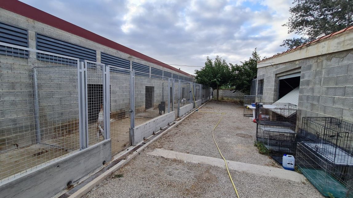 Protectora d'animals Petjades de l'Ebre a Tortosa
                                                                             |
                                Aguaita.cat - |
                                Aguaita.cat