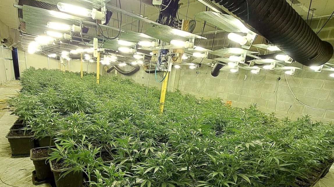 La nau industrial de cultiu de marihuana desarticulada a Cervera
                                                                             |
                                                                     Mossos d'Esquadra - |
                                                                    