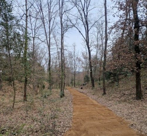 Una imatge del parc ornitològic de Riells i Viabrea.
                                                                             |
                                                                    Consell Comarcal de la Selva - |
                                                                    