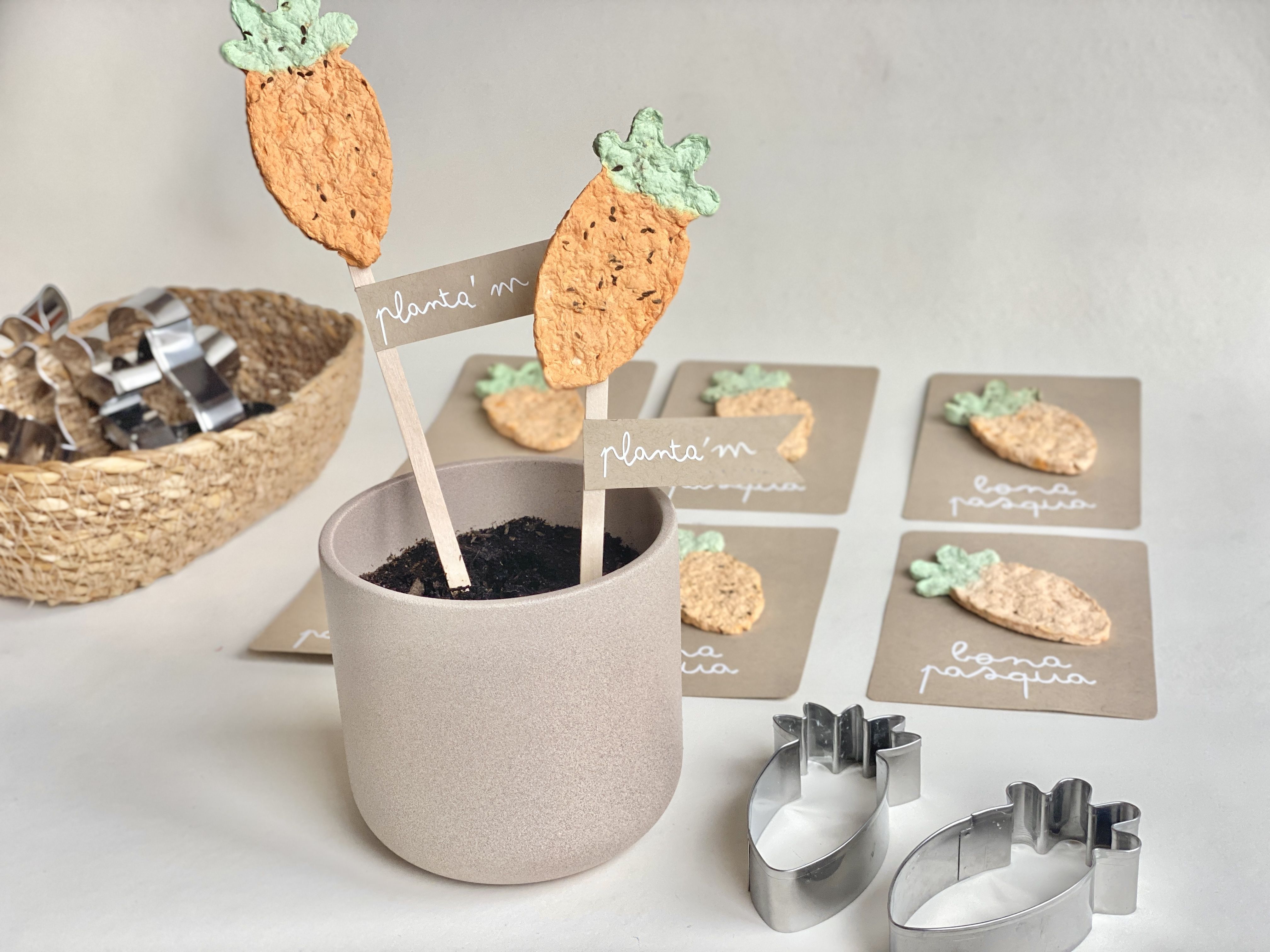 Pastanagues de paper reciclat amb llavors per regalar o plantar aquesta primavera                                                                             |                                Anna Albert - |                                Anna Albert