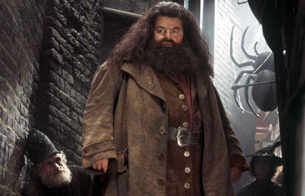 El personatge de Hagrid a la gran pantalla, interpretat per Robbie Coltrane
                                                                             |
                                Europa Press - |
                                Europa Press