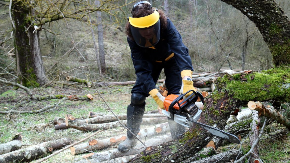 Neix Dones de Bosc, la primera associació de propietàries forestals de l'Estat
                                                                             |
                                ACN - |
                                ACN