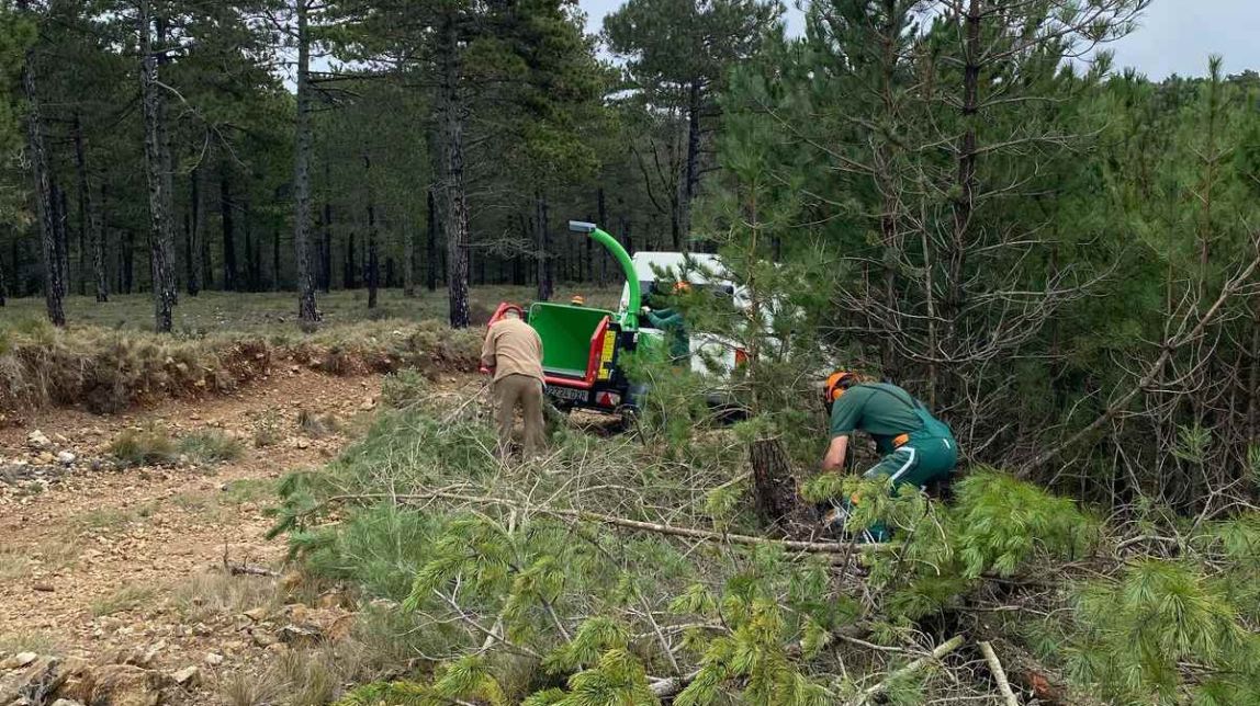 Imatge dels treballs forestals als plans de Rojals
                                                                             |
                                Cooperativa Reboll - |
                                Cooperativa Reboll