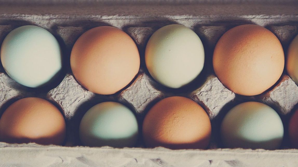 Ous
                                                                             |
                                                                     Jodi Mucha / Unsplash - |
                                                                    