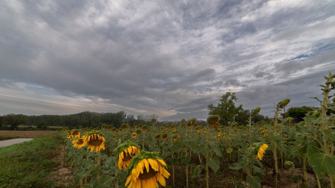 Núvols de pluja a Gurb
                                                                             |
                                                                     Carme Molist - |
                                                                    