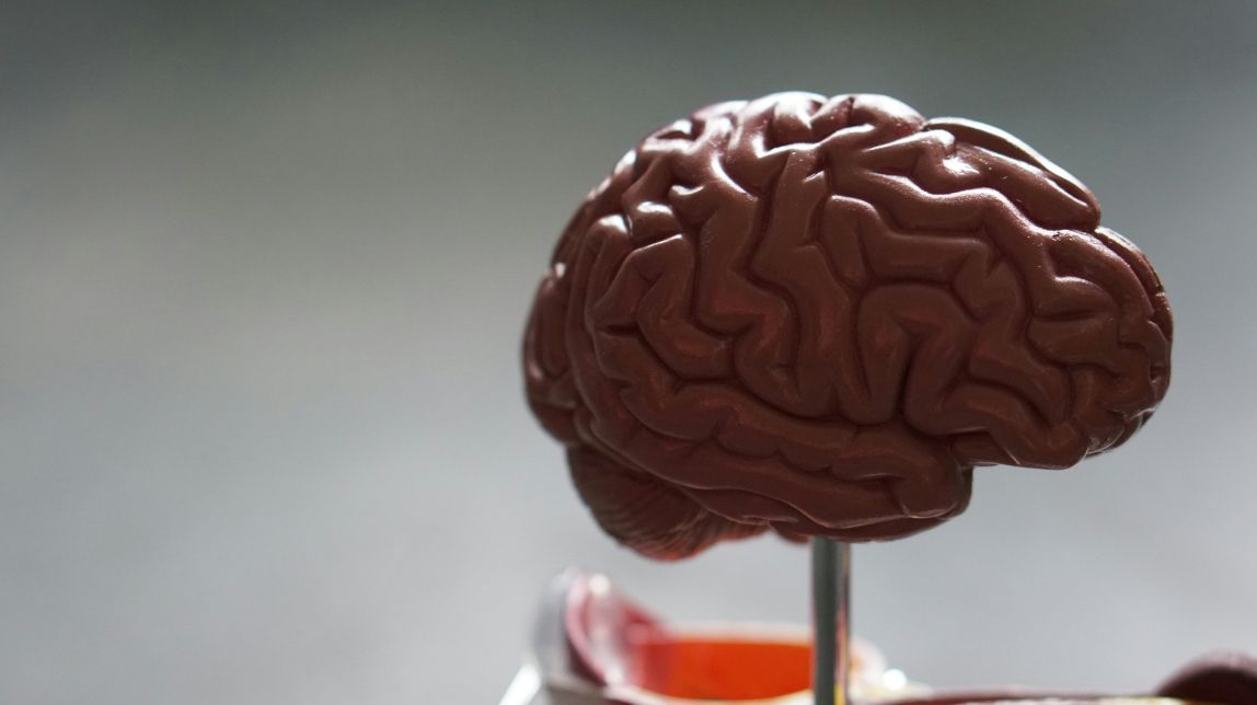 L'Alzheimer és la malaltia de demència més comuna
                                                                             |
                                                                     Robina Weermeijer / Unsplash - |
                                                                    