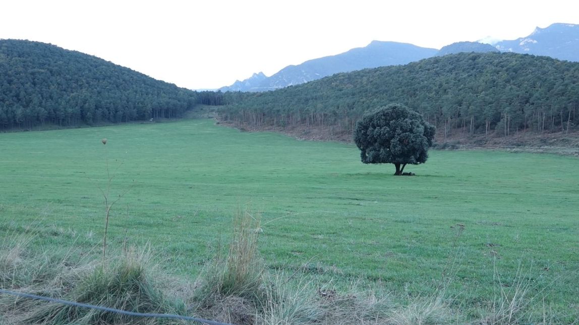 Al Pla de Clarà, a la Nou de Berguedà, s'hi ubicaria una nova bassa                                                                             |                                Grup de Defensa de la Natura del Berguedà - |                                Grup de Defensa de la Natura del Ber