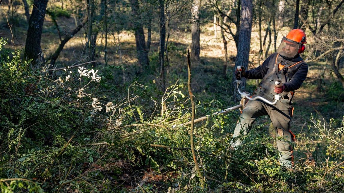 La gestió forestal és clau a les comarques de Barcelona, el territori d'Europa més poblat i amb el bosc més dens
                                                                             |
                                Cedida per la Diputació de Barcelona - |
                                Cedida per la Diputació de Barcelona