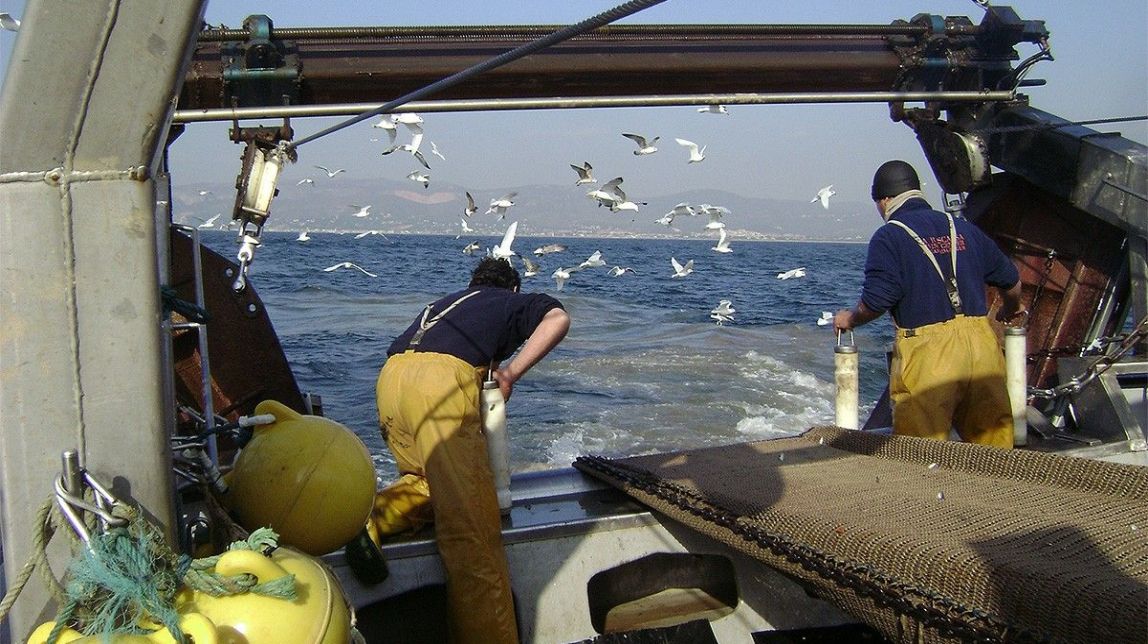 ​Catalunya gestiona la pesca amb un model pioner a Europa i al Mediterrani