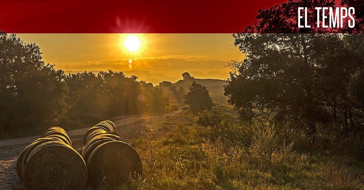 Primer cap de setmana de febrer amb ambient primaveral 