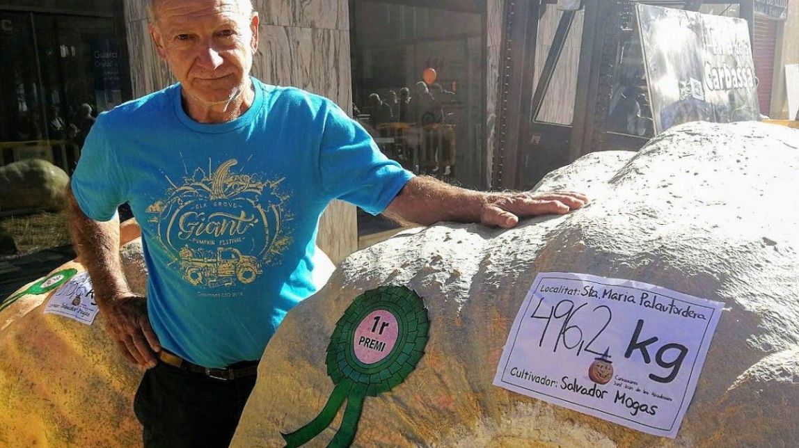 ​El secret per cultivar carbasses de 500 quilos