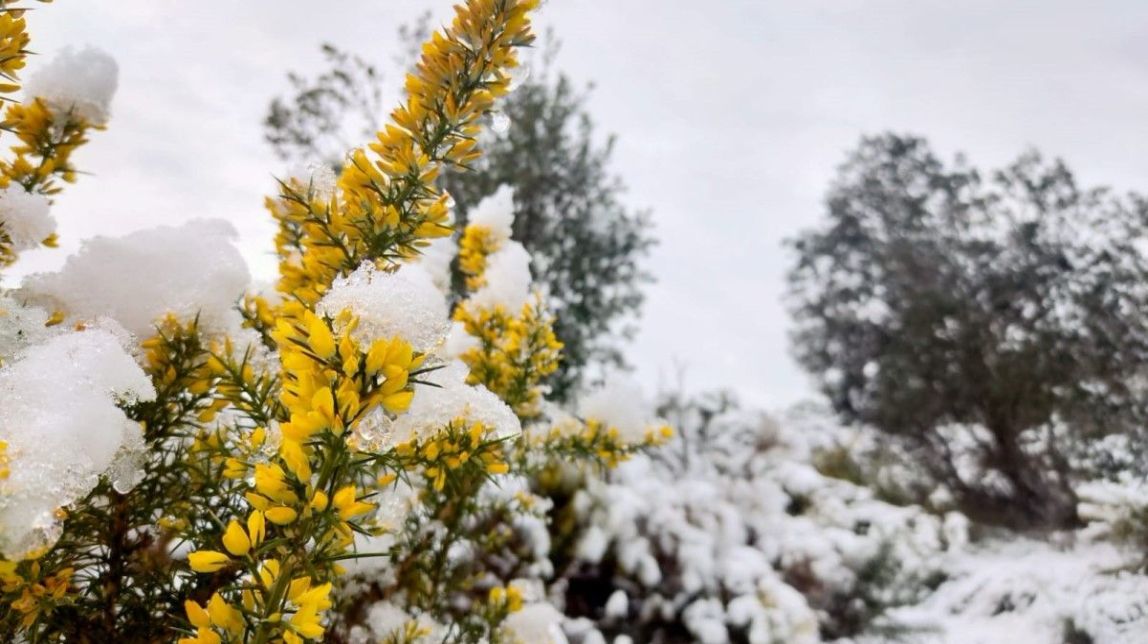 Catalunya es prepara per a una gran nevada
