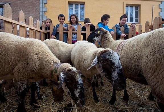 Ovelles, vida saludable i art urbà, entre les cinc propostes per al cap de setmana