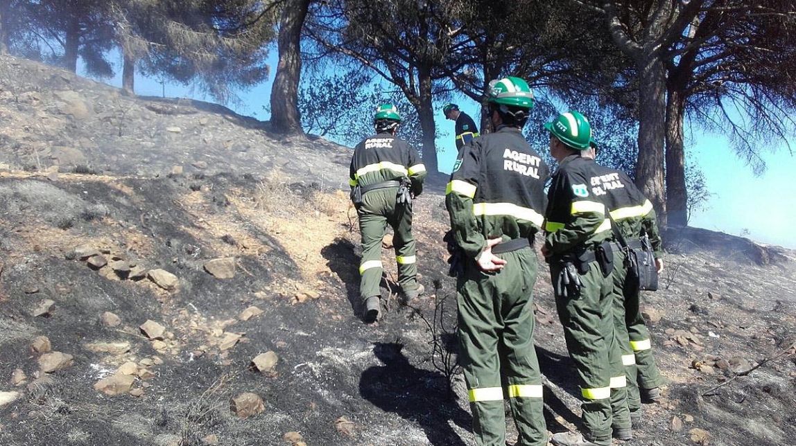 Controlat l'incendi de Collserola després de cremar més de 21 hectàrees