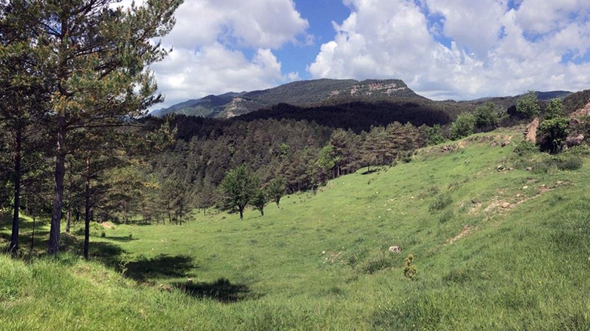 El municipi més petit de Catalunya multiplica per 75 la seva població per acollir un festival 