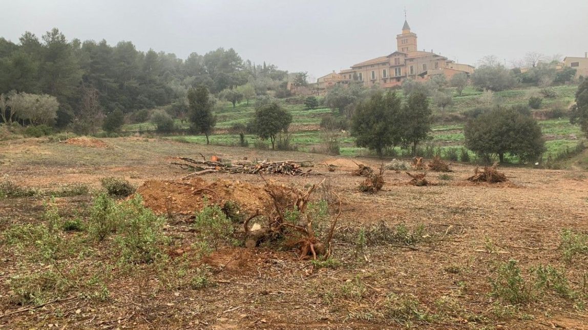 Can Monmany torna a abraçar el seu passat vinícola