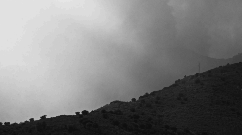 Martí Madaula, el talentós cineasta seleccionat al MoMa de Nova York