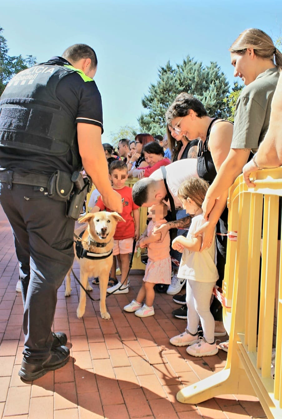 Mor l'Ares, el gos policia més veterà de Sabadell - 