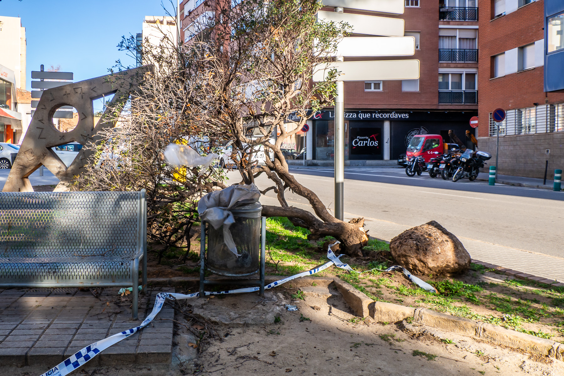 FOTOS | Cau un arbre al mig d'una plaça de Sabadell