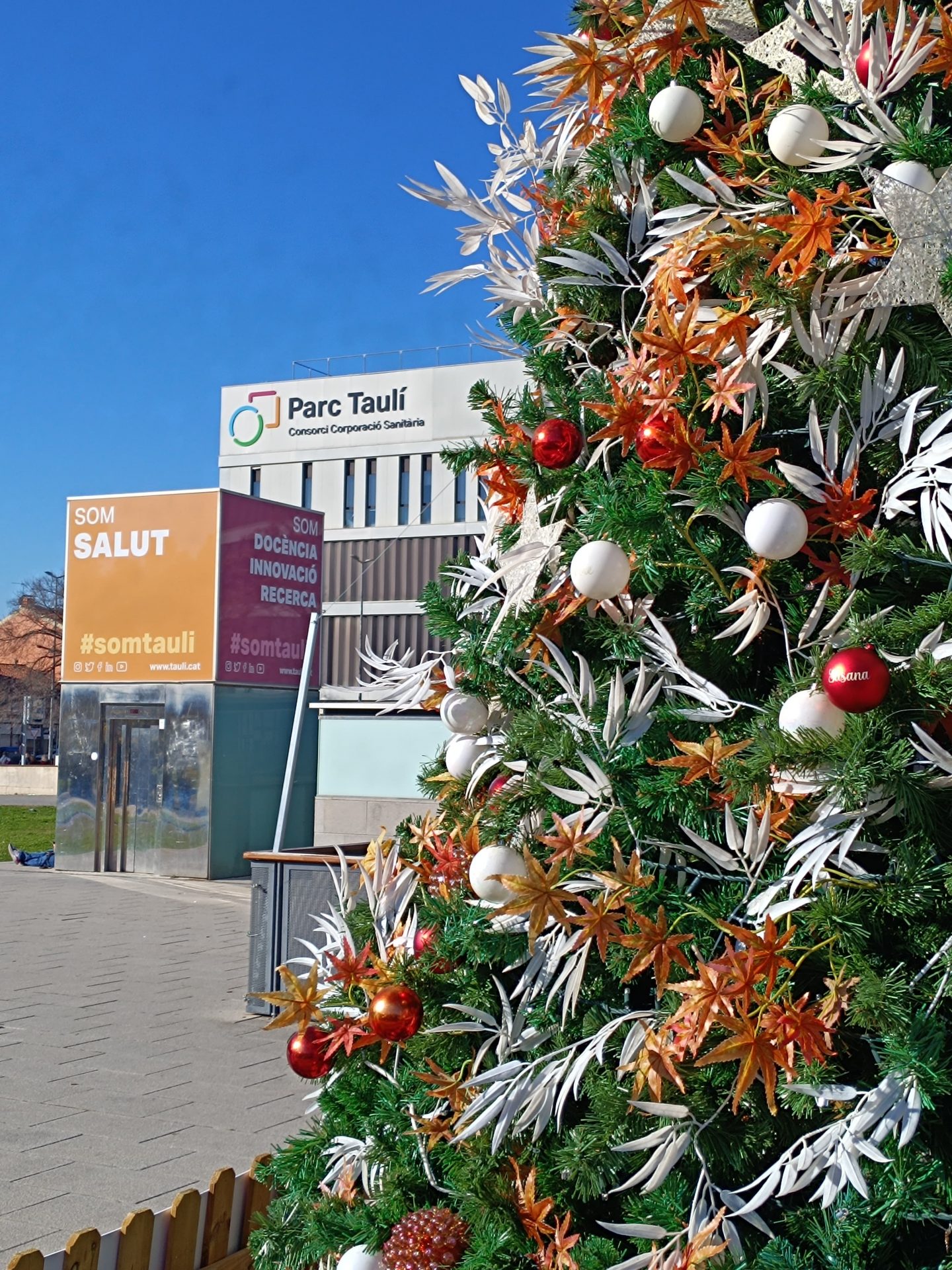 L'arbre de Nadal solidari del Taulí ha regalat més de 6.000 euros a la investigació