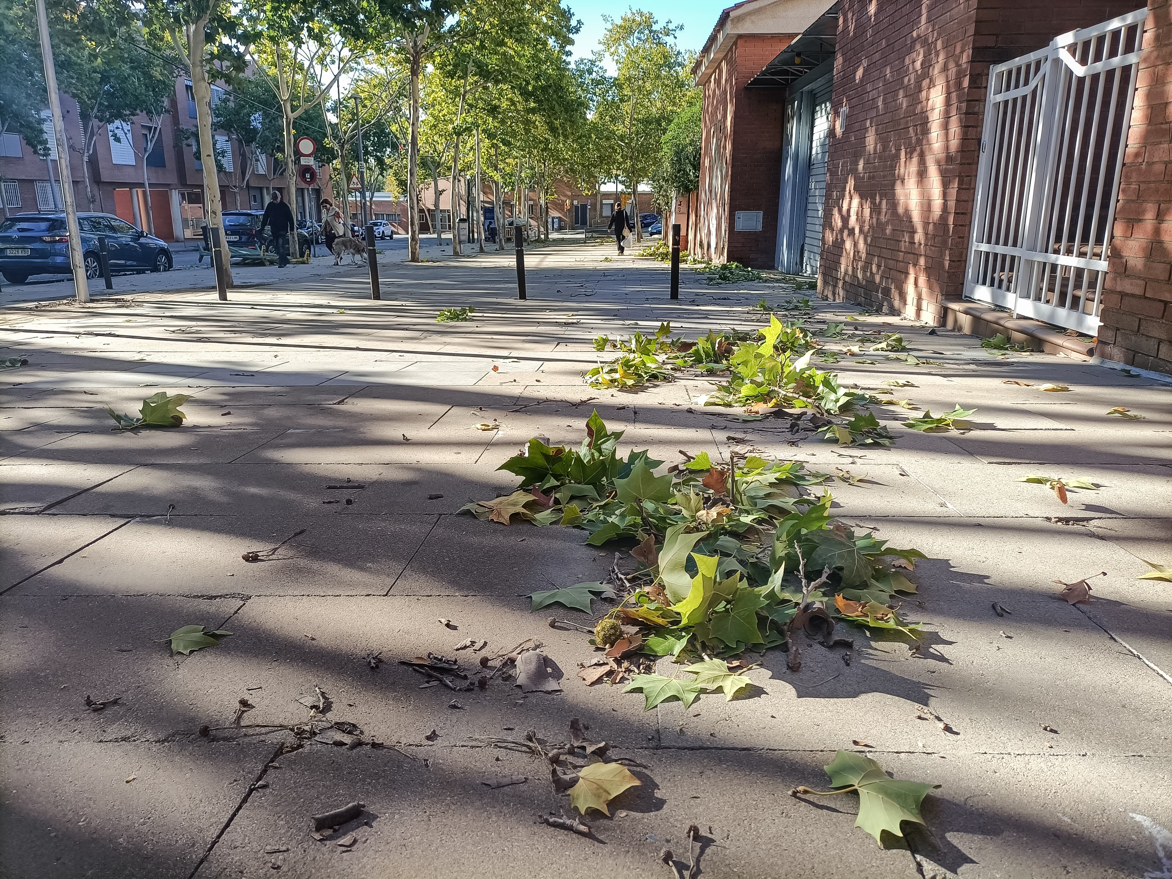 Alerta per fortes ratxes de vent a Sabadell