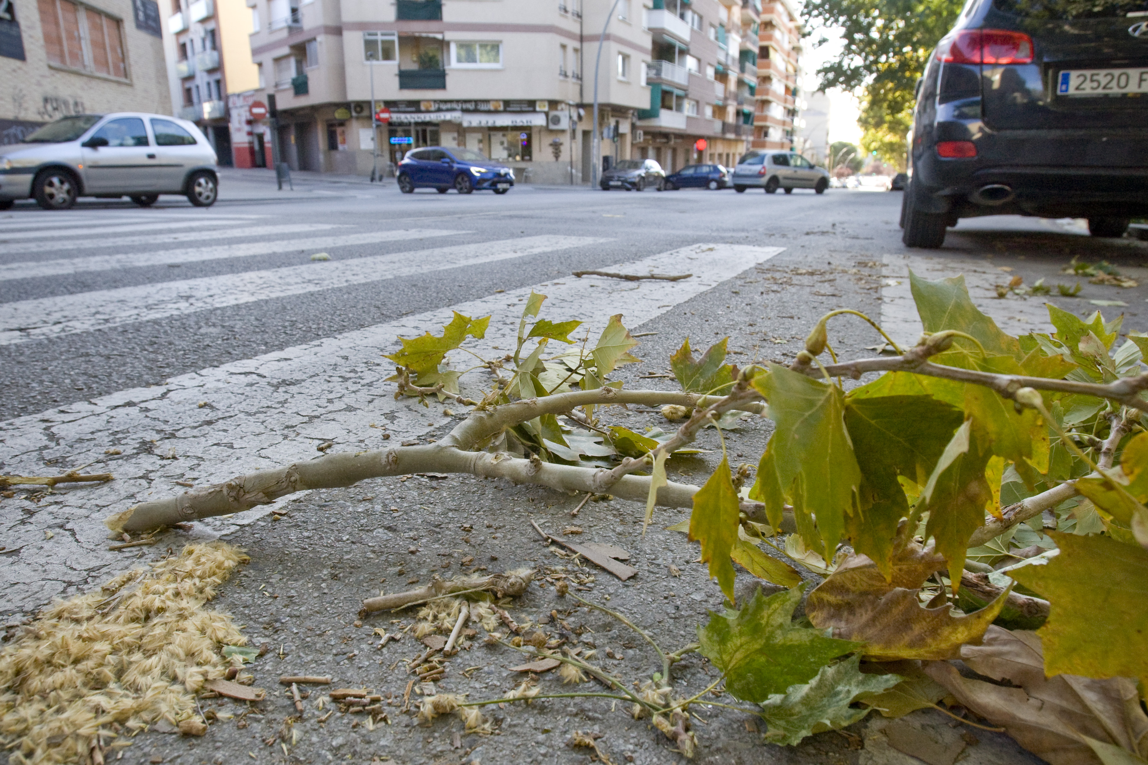 Avís per possibles ratxes de fort vent a Terrassa