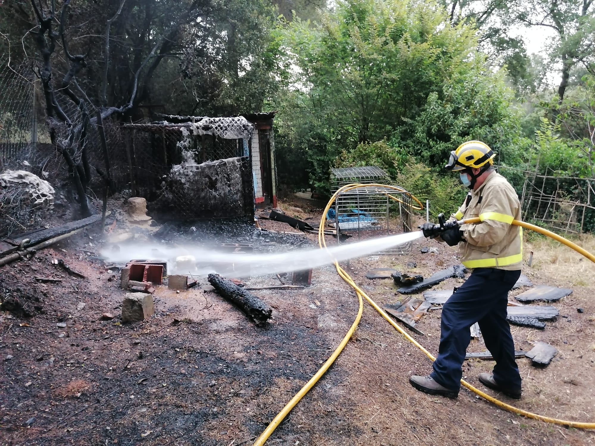 Incendi forestal a la Font de les Canyes
