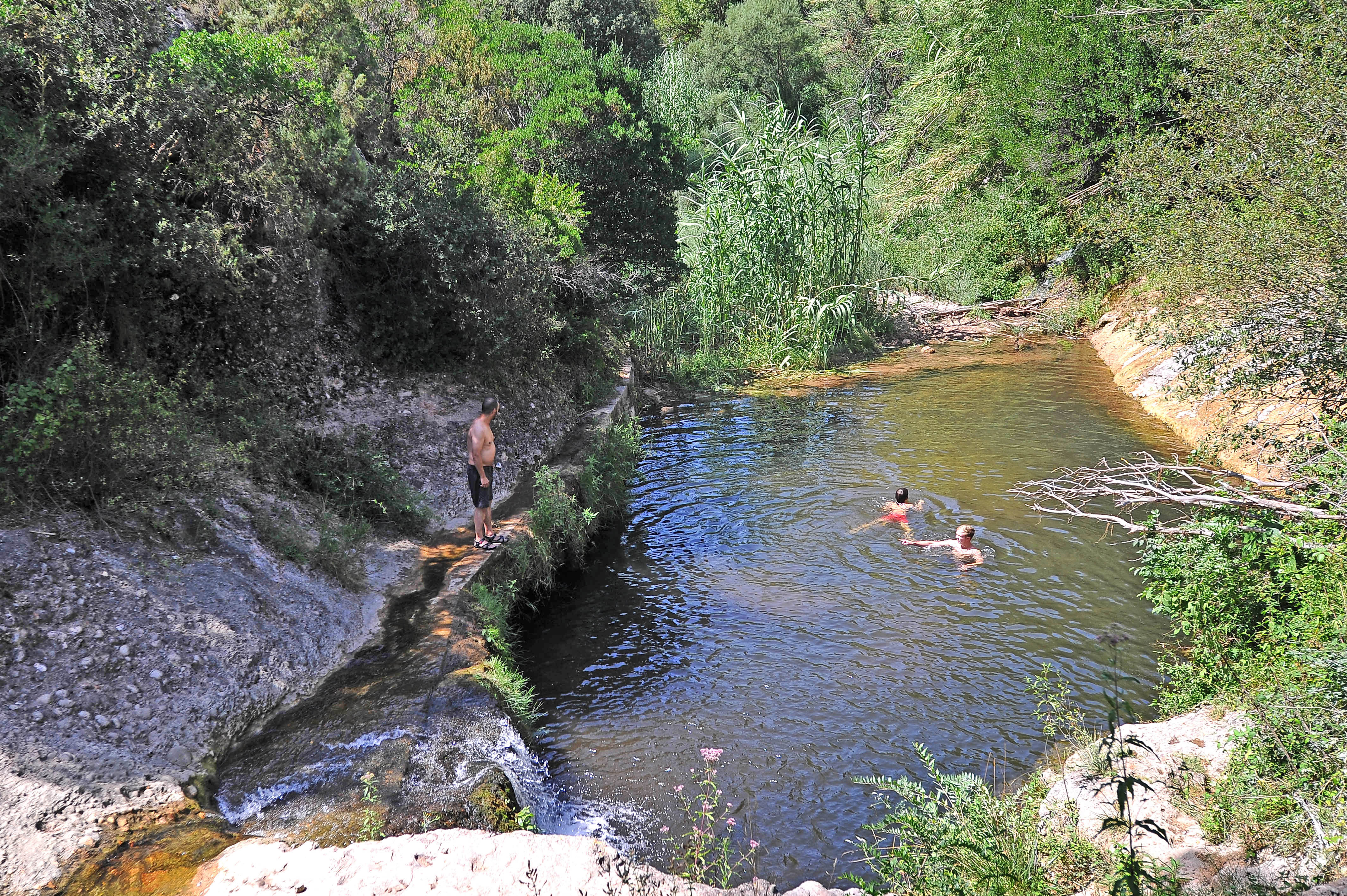 Una guia per descobrir la natura de Rellinars