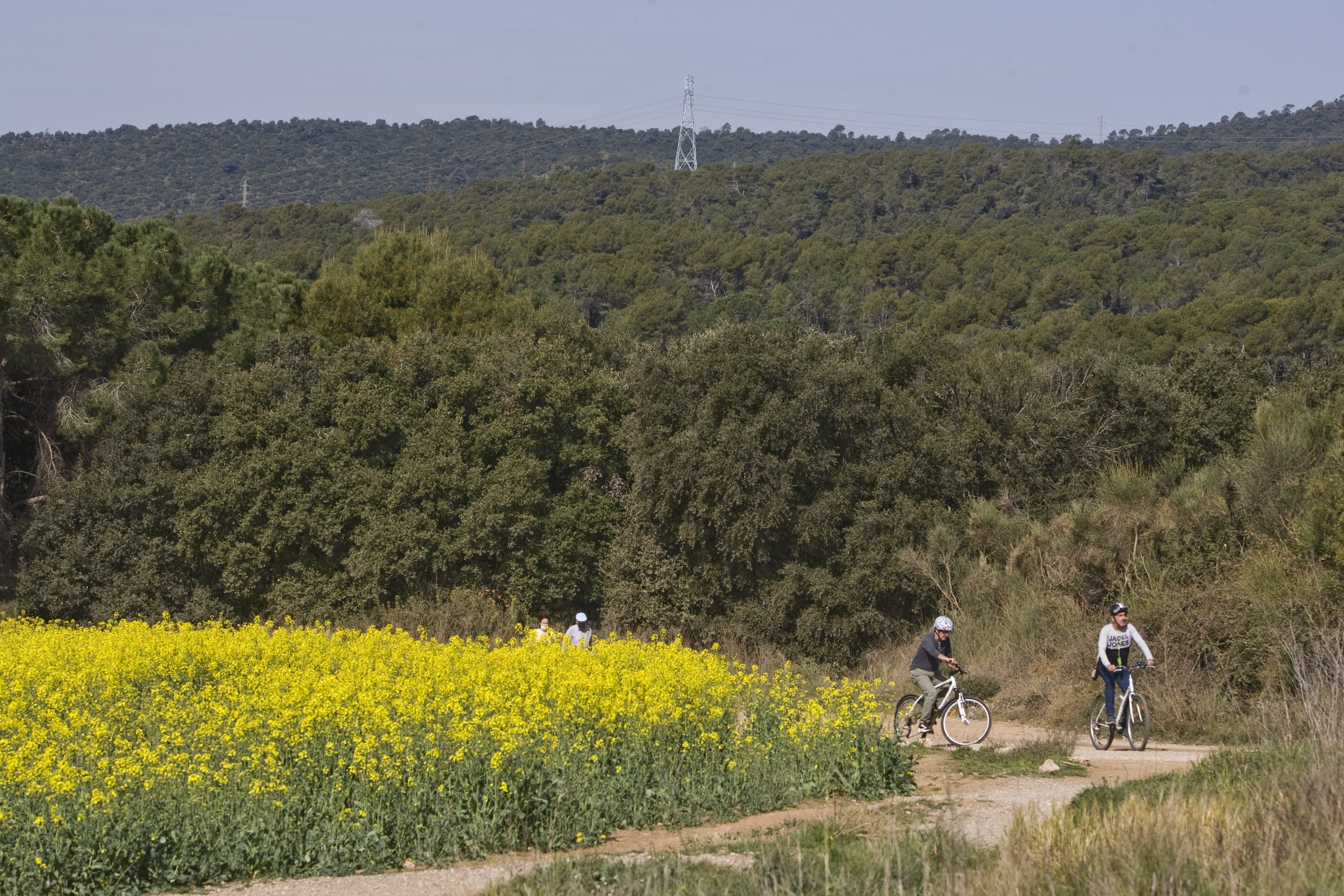 Activat el pla per alt risc d'incendis al Parc Natural de Sant Llorenç