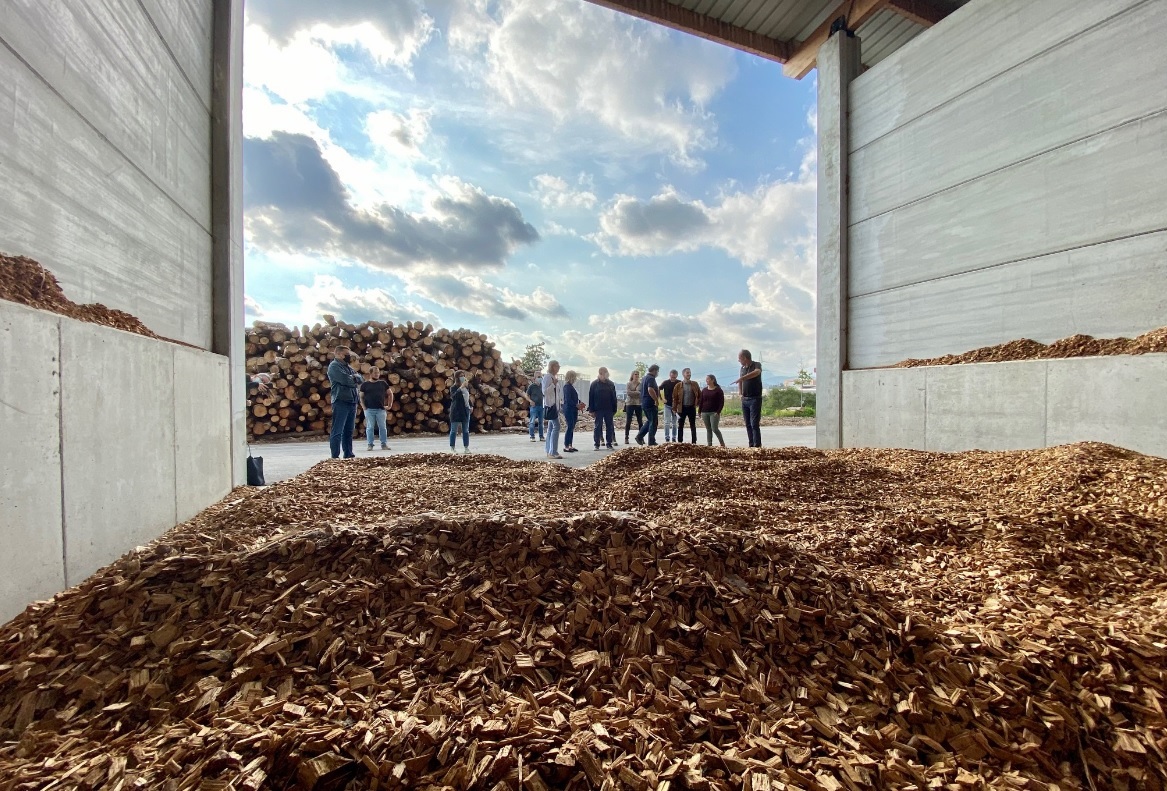 Fusta per evitar les emissions de CO2