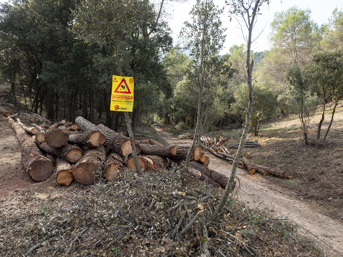 Matadepera inverteix 200.000 euros en prevenció d’incendis