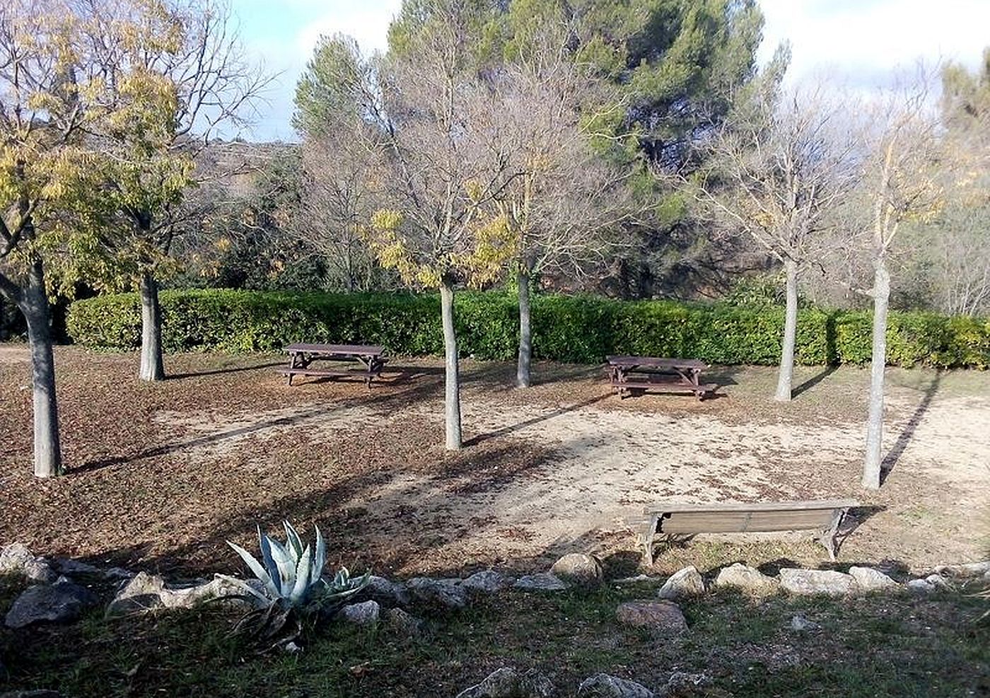 Milloren l'àrea de lleure de Mossèn Homs