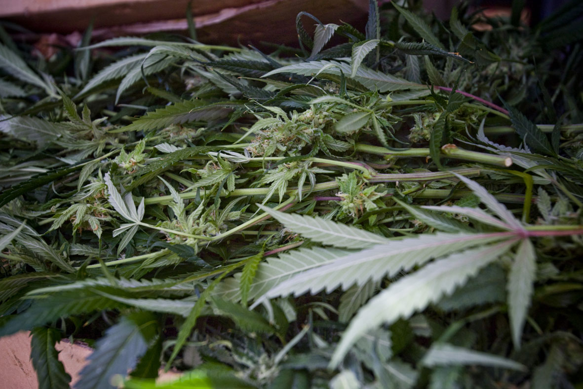 Enxampat quan transportava 333 grams de marihuana