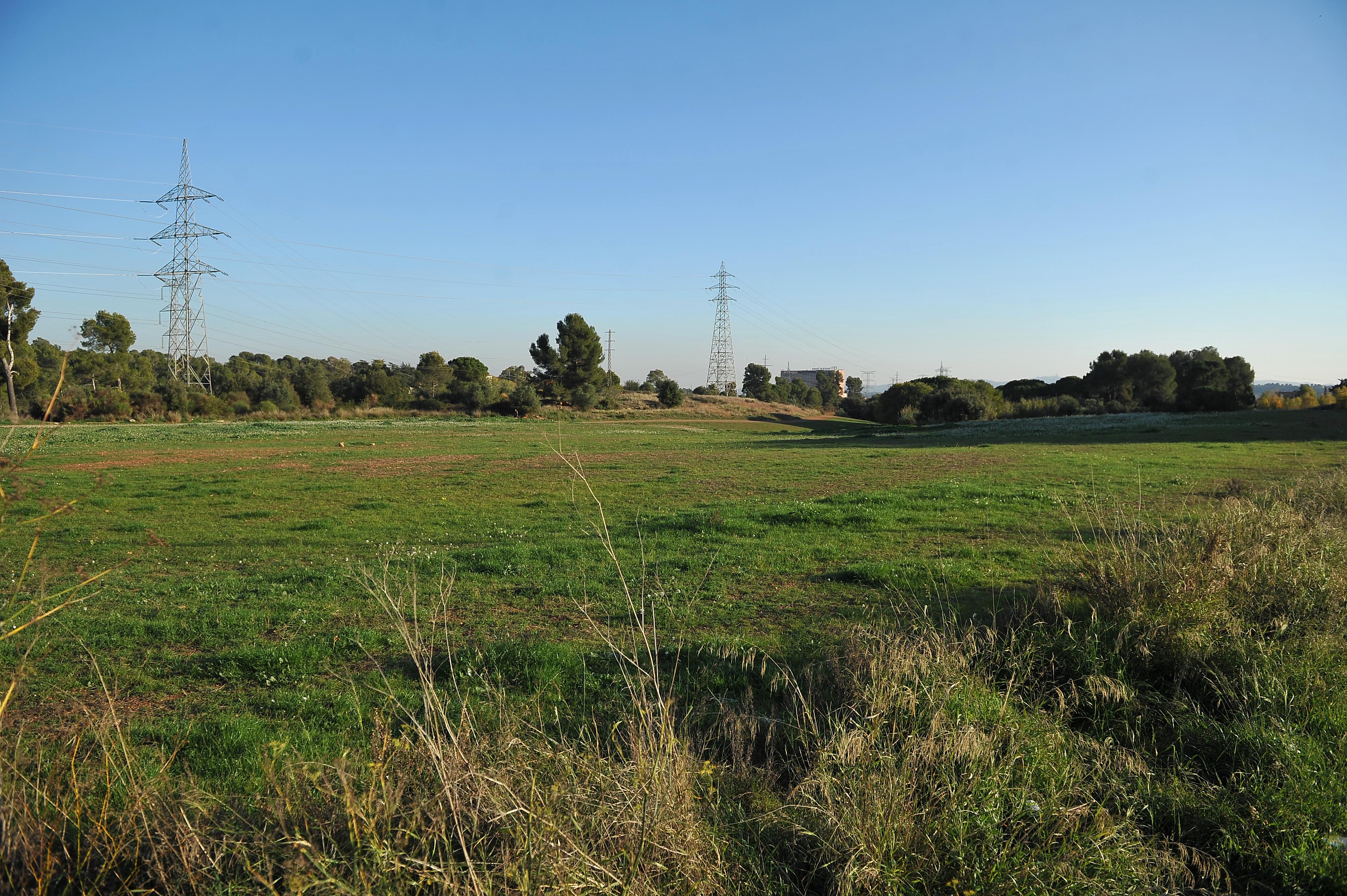 Més de 350 alumnes de cinc centres escolars de Terrassa plantaran 423 arbres a l’Anella Verda
