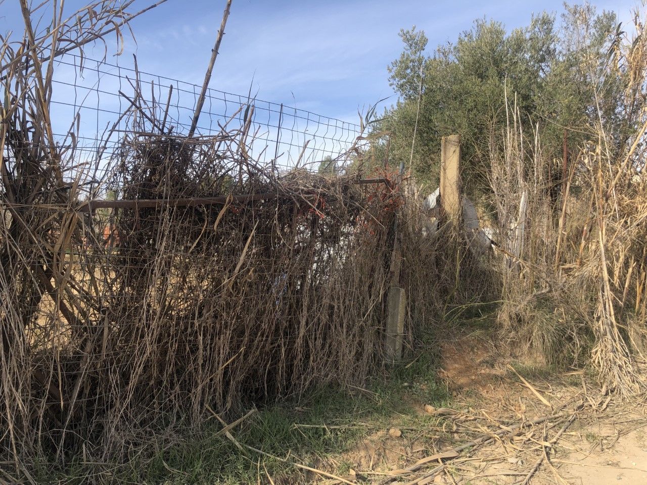 El programa d’inspecció a l’entorn natural obre 26 requeriments a la propietat